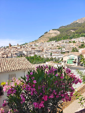 Fields in the south of Spain in Cazorla village on a sunny dayの写真素材
