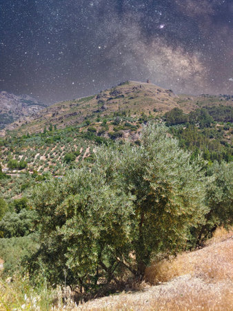 Fields in the south of Spain in Cazorla village on a sunny dayの写真素材