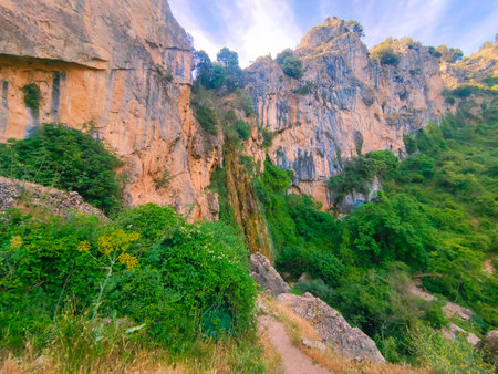 Trees in the hill of Cazorla in the south of Spain in a sunny dayの写真素材
