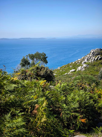 Landscape in Galicia in the north of Spain in a sunny day. Its a celtic pathの写真素材