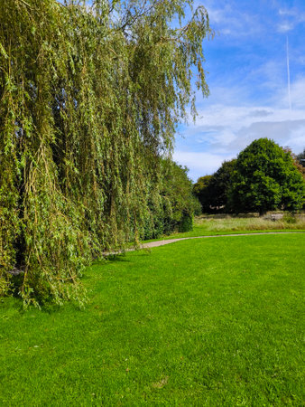 Park with trees in Glastonbury in a cloudy dayの写真素材