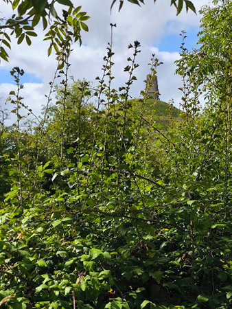 Landscape in the south in Glastonbury in the south of England in a cloudy dayの写真素材