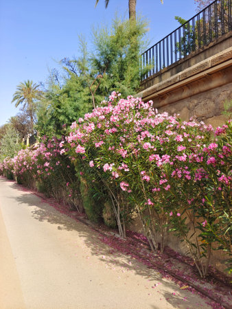 Flowers near the river in a sunny day
