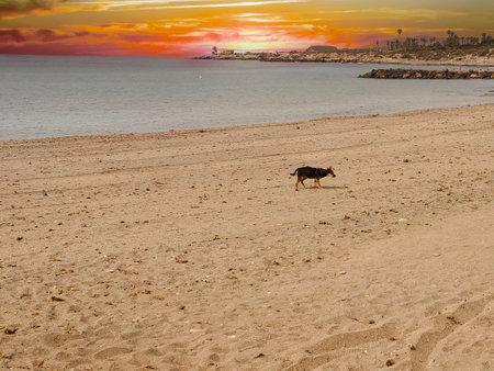 Beach at sunset in the south of Spainの写真素材