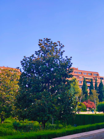 Buildings in Granada in the south of Spain in a sunny dayの写真素材
