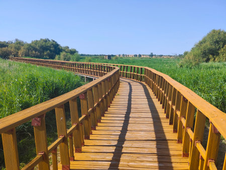 Spanish field in the center of Spain in a sunny dayの写真素材