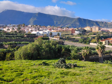 Puerto de la cruz in the north of Canary Island in a sunny dayの写真素材