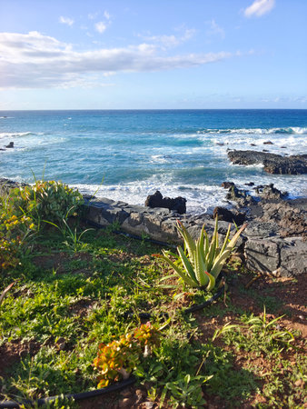 Wave in the sea of canary island in the north of Tenerife