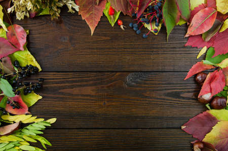 fallen leaves on wooden background, top view, copy spaceの写真素材