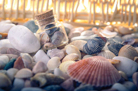 Shells in a glass jar on ocean pebble backgrond with warm light. Front view.の写真素材