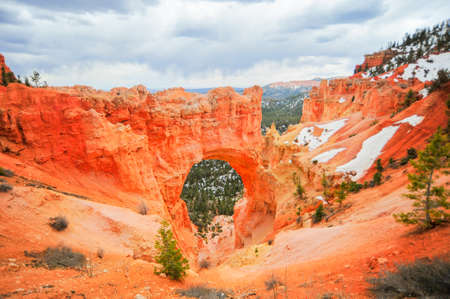 Natural Bridge Point in Bryce Canyon National Parkの写真素材