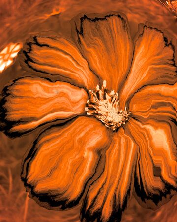 Drawing of an abstract orange flower close-upの写真素材
