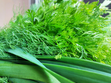 close-up of fresh juicy greens for saladの写真素材