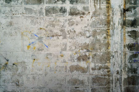 grungy white wall background of natural cementの写真素材