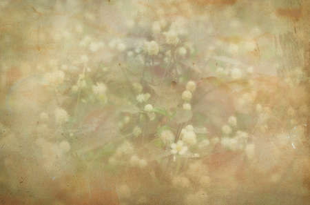 old paper background with flowersの写真素材