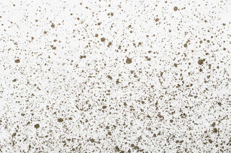 Soil splashes on the white wall backgroundの写真素材