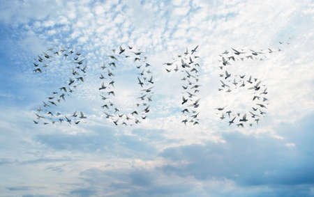 Happy new year 2015 compose from birds on blue sky