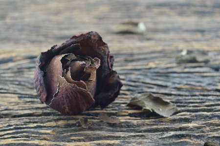 Dried Rose on old wooden background broken heart conceptの写真素材