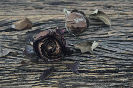 Dried Rose on old wooden background, broken heart conceptの写真素材