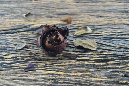 Dried Rose on old wooden background, broken heart conceptの写真素材