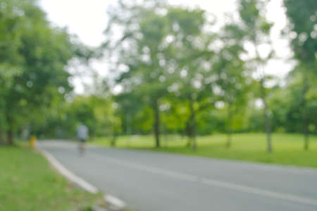 Blur nature park with bokeh light, natural backgroundの写真素材