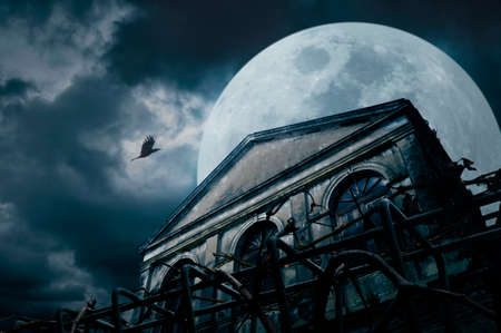 Old grunge building with bird at night over cloudy sky and the moon behind, mysterious backgroundの写真素材