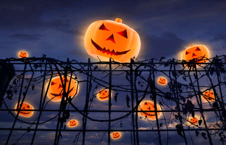 Halloween pumpkin and metal fence with dry leaves over dark skyの写真素材
