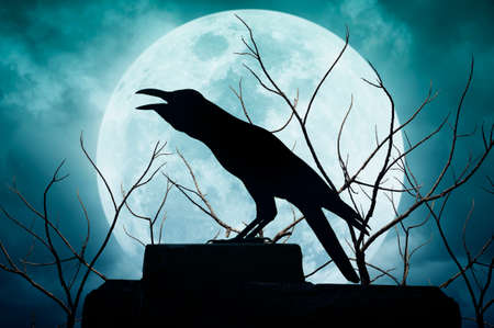Crow sitting on the rock and croaks against full moon, Halloween backgroundの写真素材