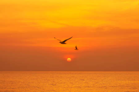 Beautiful sunset above the sea with birdsの写真素材