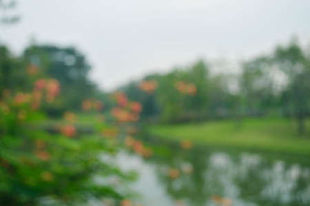 Blurred of red flower and tree in public park for backgroundの写真素材