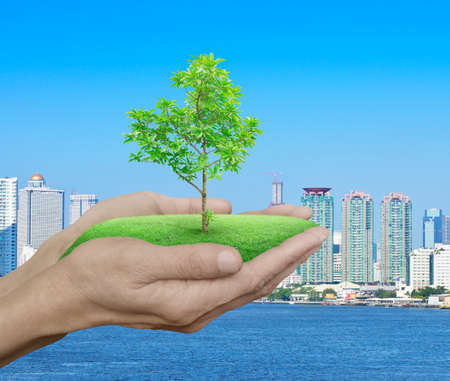 Growing green tree in hands over city tower and river background, Environment concept