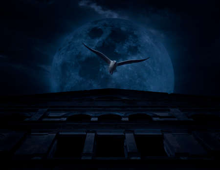Horror scene of bird fly with old grunge castle over moon and cloudy sky, Spooky background,...