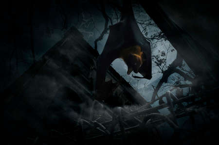 Bat scream and hang over fence, old grunge castle, moon and cloudy sky, Mysterious background,...