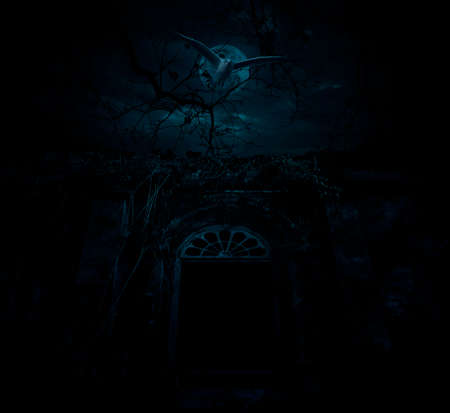 Bird fly over old ancient castle with dead tree, moon and cloudy sky, Spooky background, Halloween...