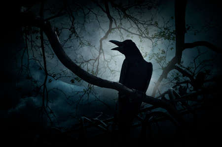 Crow sit on dead tree trunk and croak over fence, moon and cloudy sky, Mysterious background, Halloween conceptの写真素材