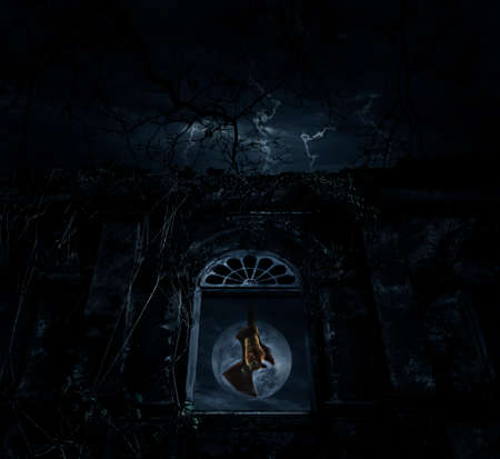 Bat scream and hang on old ancient window castle over dead tree, moon and cloudy sky, Spooky background, Halloween conceptの写真素材