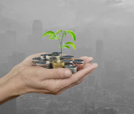 Hands holding fresh green tree growing on coins over pollution city tower, Ecological investment conceptの写真素材