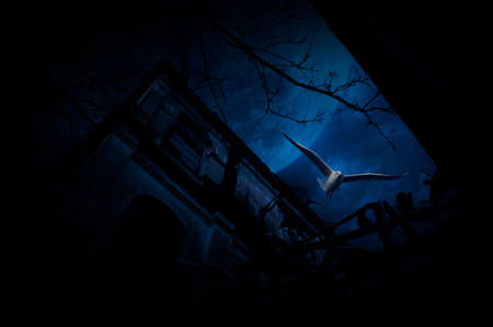 Seagull bird fly over old fence, grunge castle, dead tree, moon and cloudy sky, Spooky background, Halloween conceptの写真素材