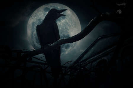 Crow sit on dead tree trunk and croak over fence, old grunge castle, moon and cloudy sky, Mysterious background, Halloween conceptの写真素材