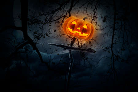 Jack O Lantern pumpkin on wood cross over dead tree, moon and cloudy sky, Halloween conceptの写真素材