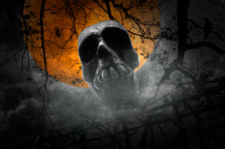 Human skull with old fence over dead tree, crow, moon and cloudy sky, Vintage style, Halloween conceptの写真素材
