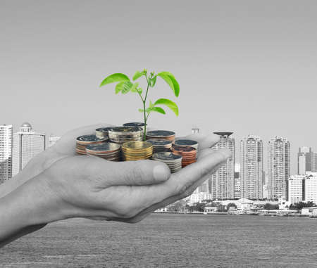 Hands holding fresh green tree growing on coins over black and white city tower and river background, Ecological investment conceptの写真素材