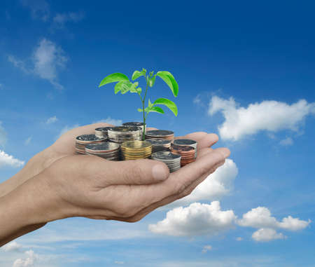 Hands holding fresh green tree growing on coins over blue sky with white clouds, Ecological investment conceptの写真素材