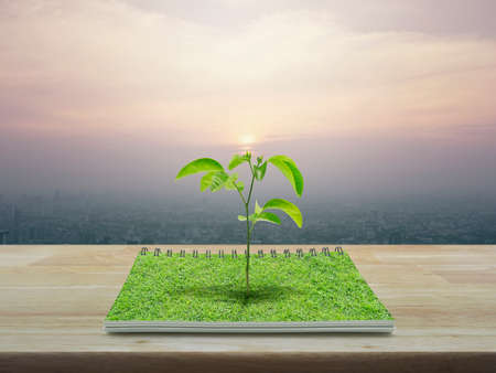 Small tree growing from an open book on wooden table over city tower at sunset, vintage style, Ecological conceptの写真素材