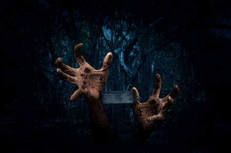 Zombie hand rising out from ground with cross over spooky forest at night time, Horror background, Halloween conceptの写真素材