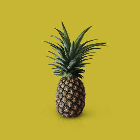 Pineapple fruit isolated on yellow background with clipping pathの写真素材