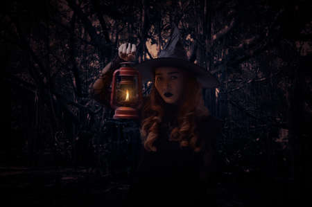 Halloween witch holding ancient lamp standing over spooky dark forest with tree, leaves and vine, Halloween mystery conceptの写真素材