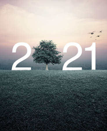 2021 with tree on green grass field over aerial view of cityscape at sunset, vintage style, Happy new year 2021 ecological conceptの写真素材