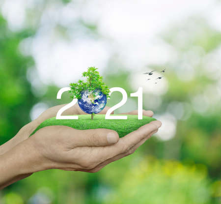 2021 white text with planet and tree on green grass field in man hands over blur green tree, Happy new year 2021 ecological cover, Save the earth conceptの写真素材