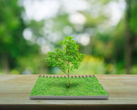 Tree growing from an open book on wooden table over blur green tree in park, Business ecological...